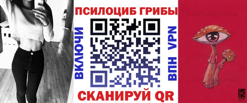 Галлюциногенные грибы мицелий закладки Удачный